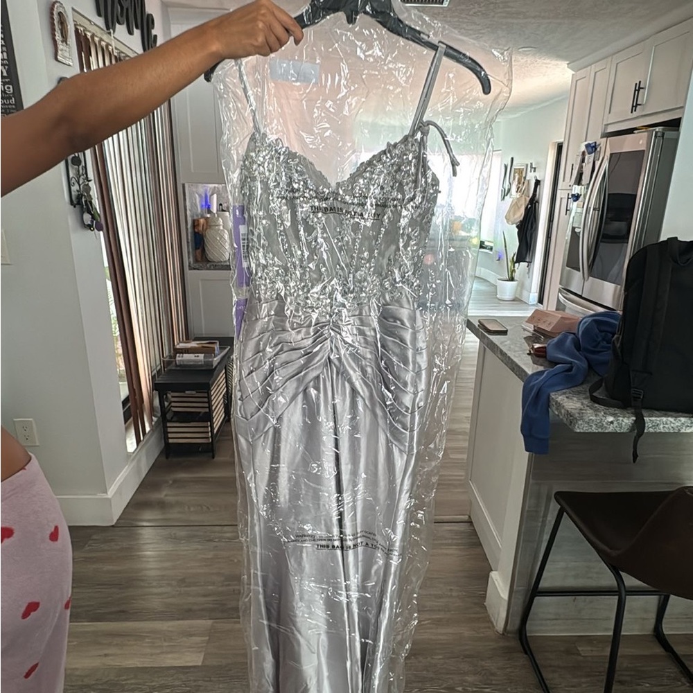 Elegant Silver Gown